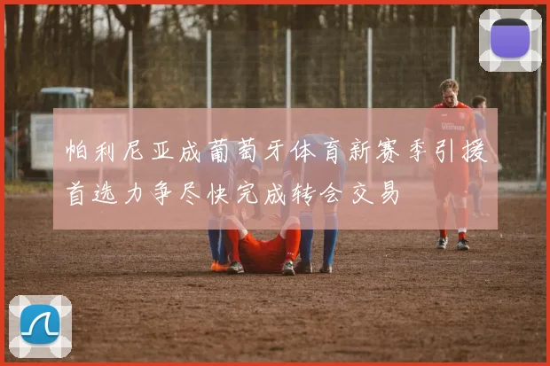 帕利尼亚成葡萄牙体育新赛季引援首选力争尽快完成转会交易