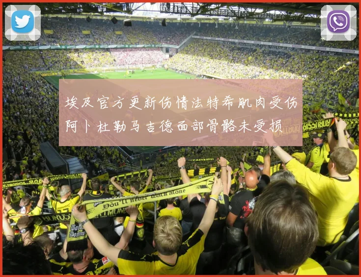 埃及官方更新伤情法特希肌肉受伤阿卜杜勒马吉德面部骨骼未受损