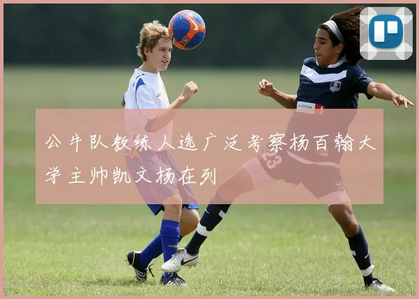 公牛队教练人选广泛考察杨百翰大学主帅凯文杨在列