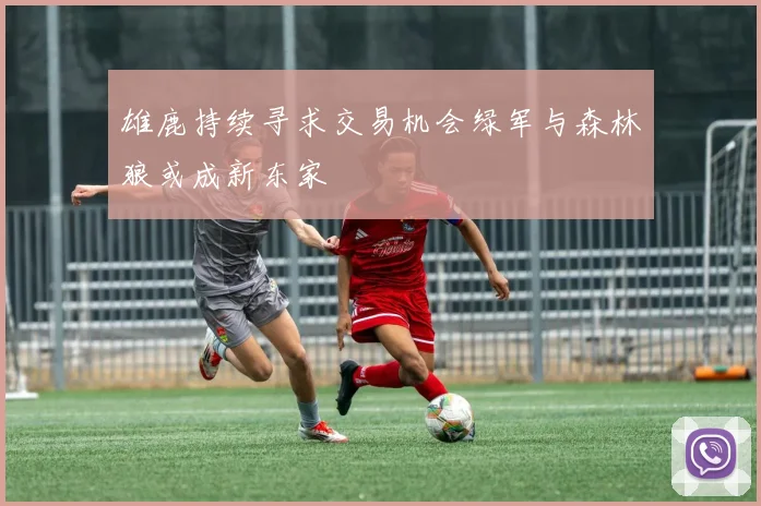 雄鹿持续寻求交易机会绿军与森林狼或成新东家