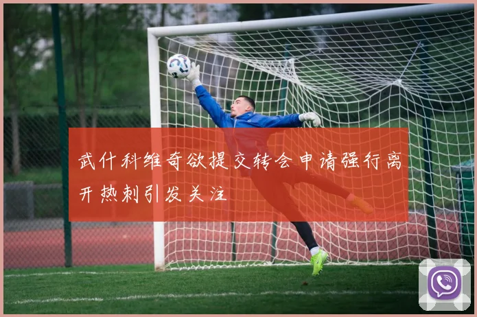 武什科维奇欲提交转会申请强行离开热刺引发关注